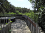 Natuurbalkon Burensche Veld Grensweg
